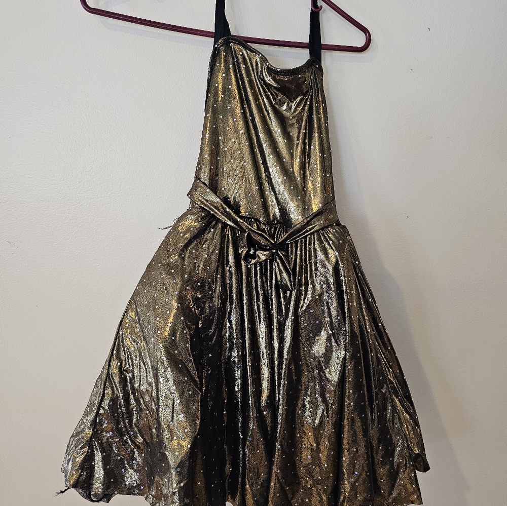 Ice skating dress/costume